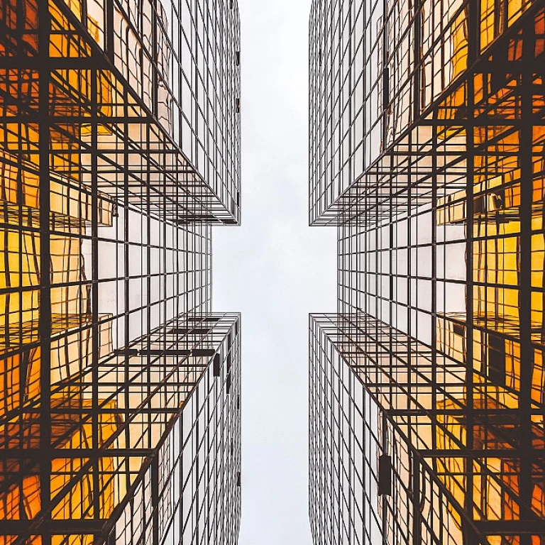 Optimiser la gestion de trésorerie avec un logiciel adapté