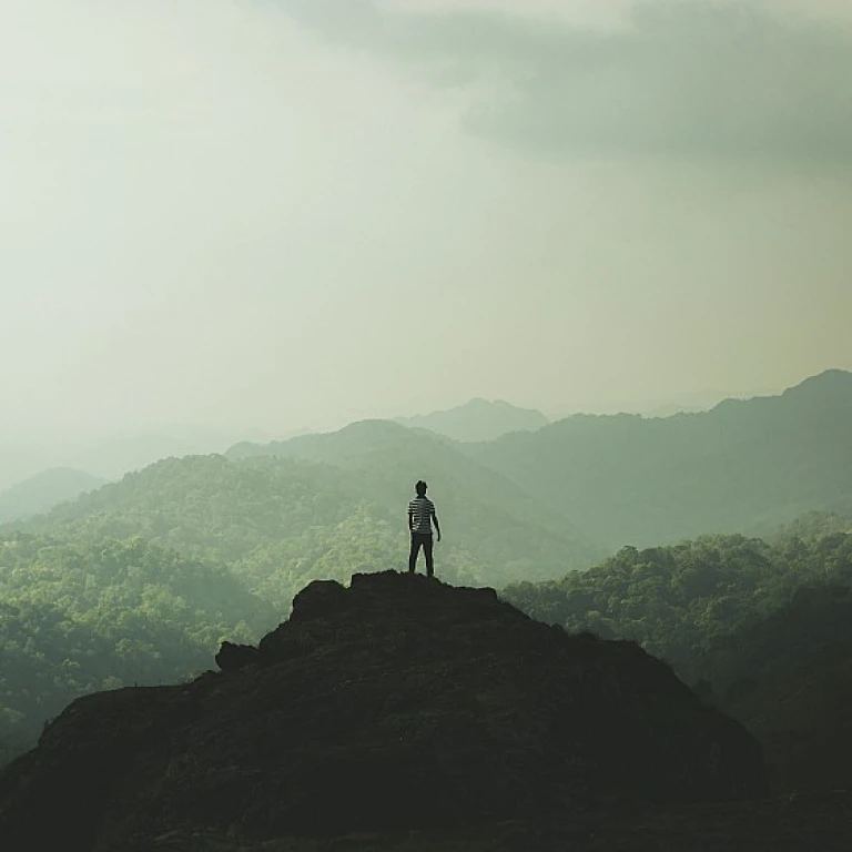 Comment choisir le meilleur logiciel pour optimiser la gestion des fournisseurs ?