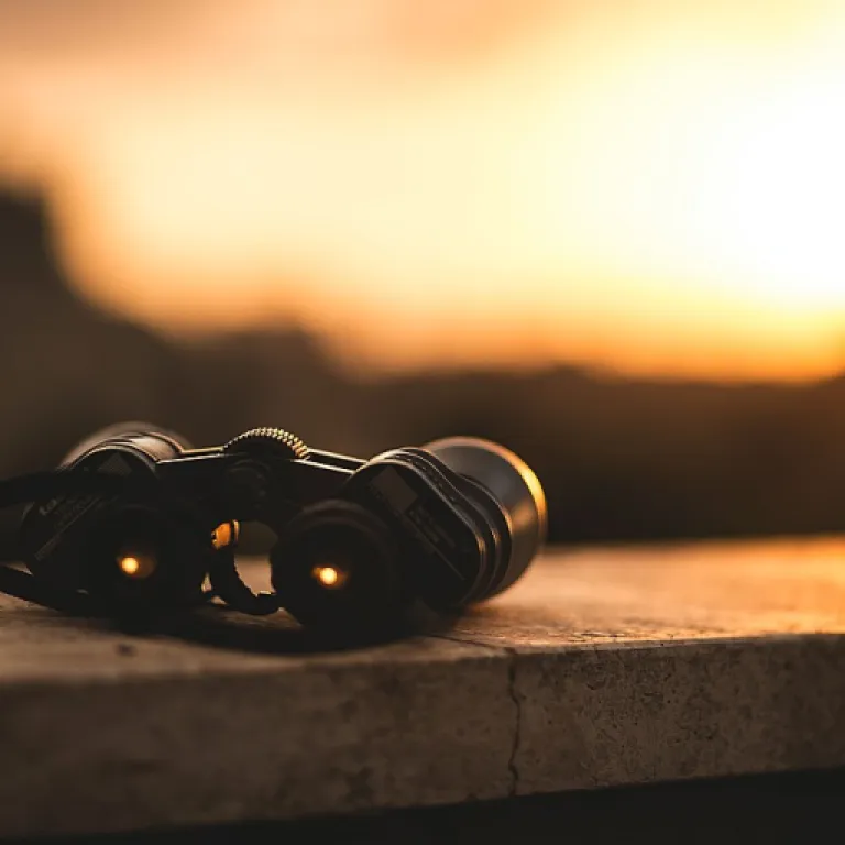 Maîtriser les clés pour un bilan pédagogique et financier facile