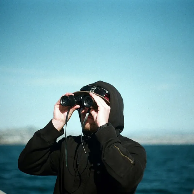 Le rôle clé de l’avocat fiscaliste international dans la gestion des enjeux fiscaux transfrontaliers